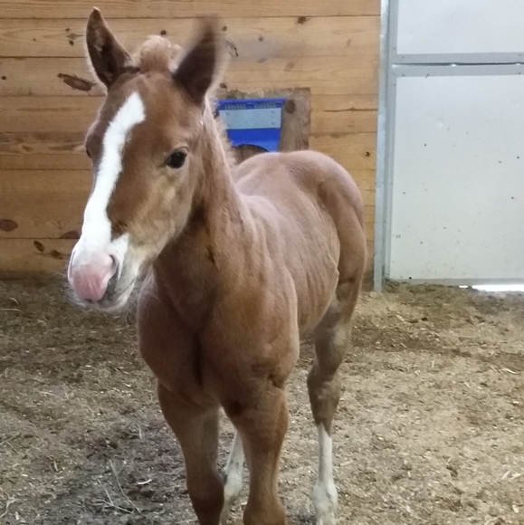 Hello! Welcome to my closet. - Picture 8 of 8